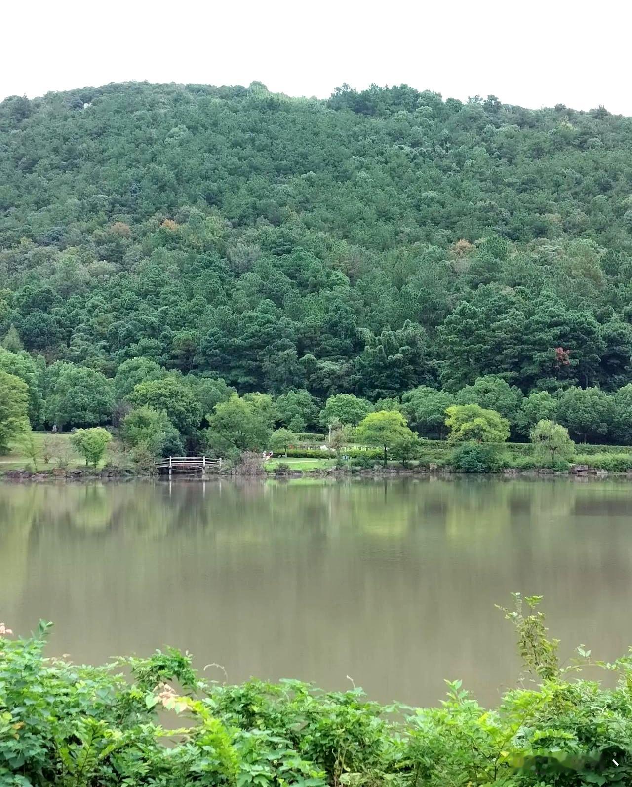 二姑姐被她老公赶出来了，原因是他妈住院七天，二姑姐一次没去探望，也没送过饭。她