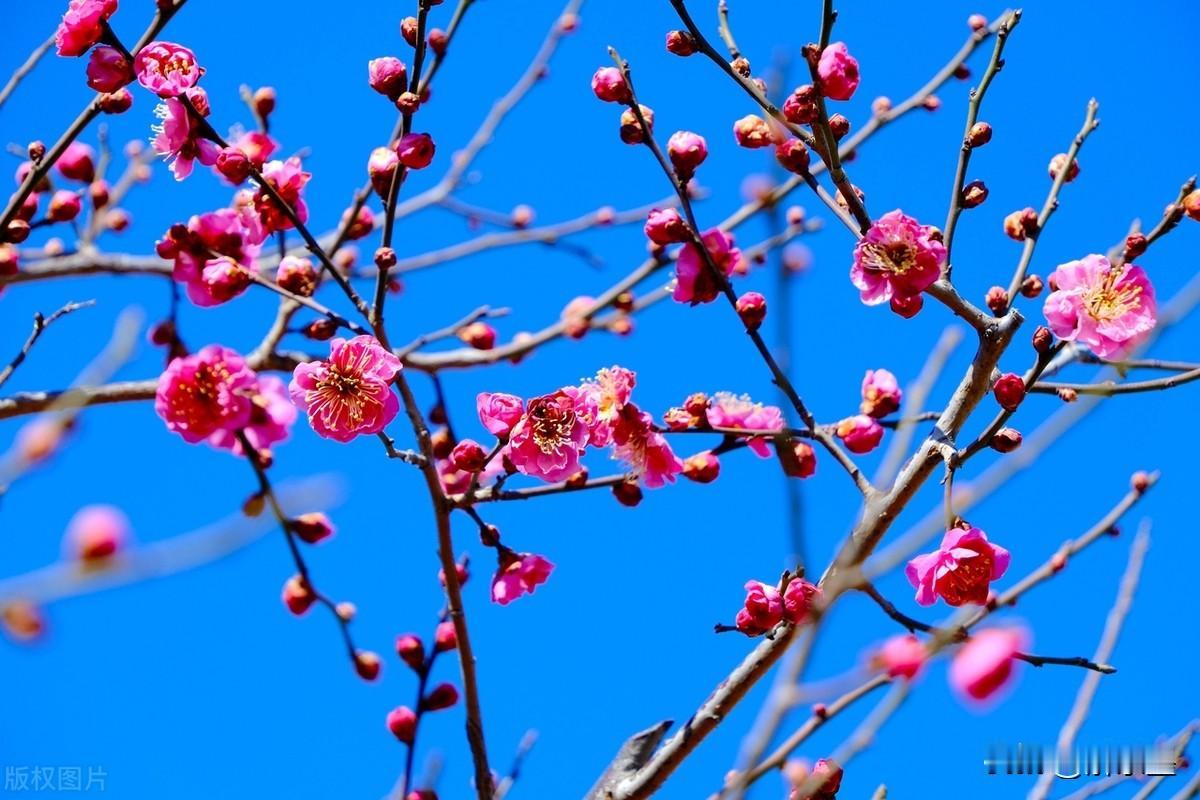 生病的时候，记得吃药；天凉的时候，记得添衣；纵然心情很苦，也不可以亏待了自己。因