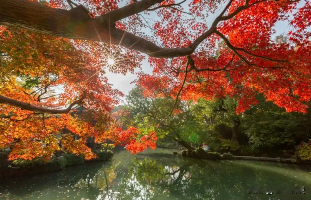 刘震云说：“人一生除了赚钱，剩下的时间，要离人远一点。盼你好的只