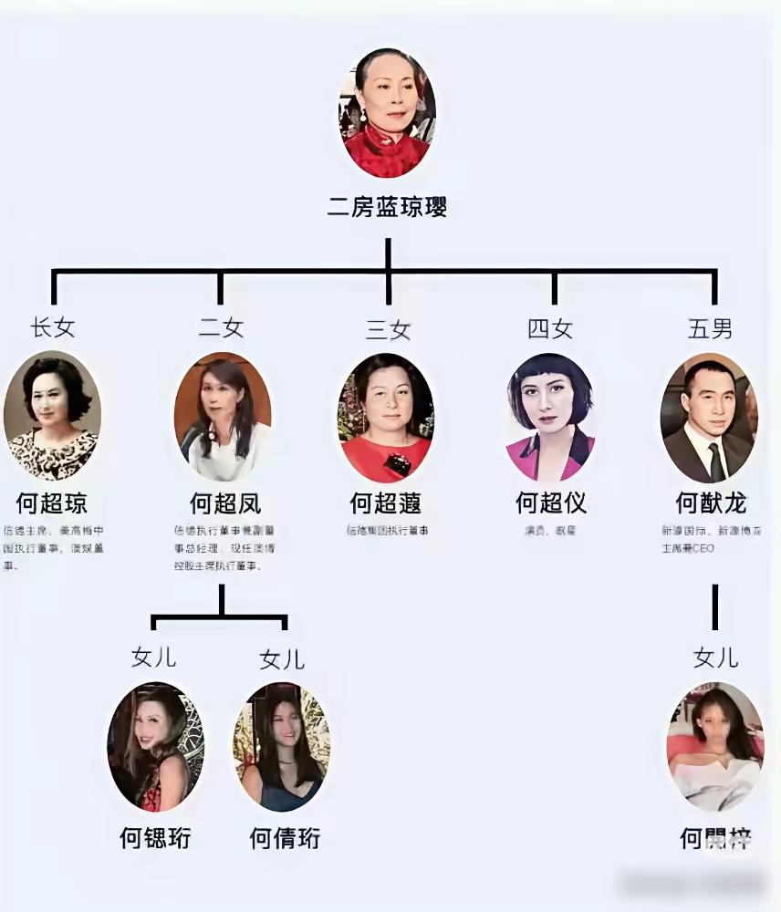 赌王二房彻底“绝后”了——这消息出来，评论区吵翻了天。有人说“百亿家产没人继承，