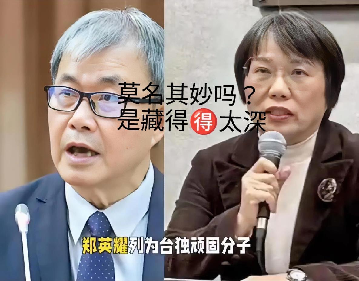 郑英耀，现任台内部部门负责人，被列入台独顽固分子之后，狡辩道，他们是正常工作