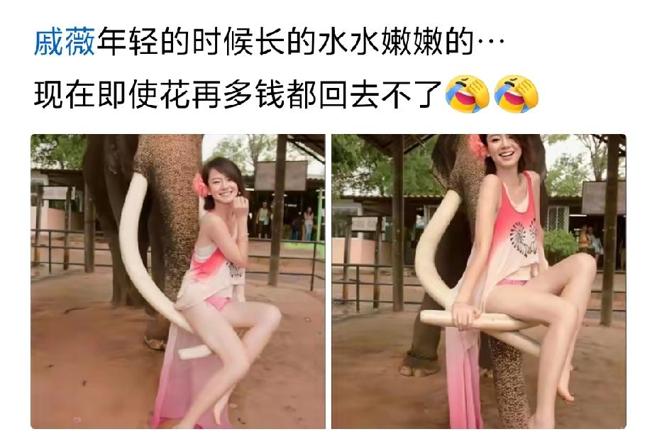 这是朱丹吧[捂脸哭]