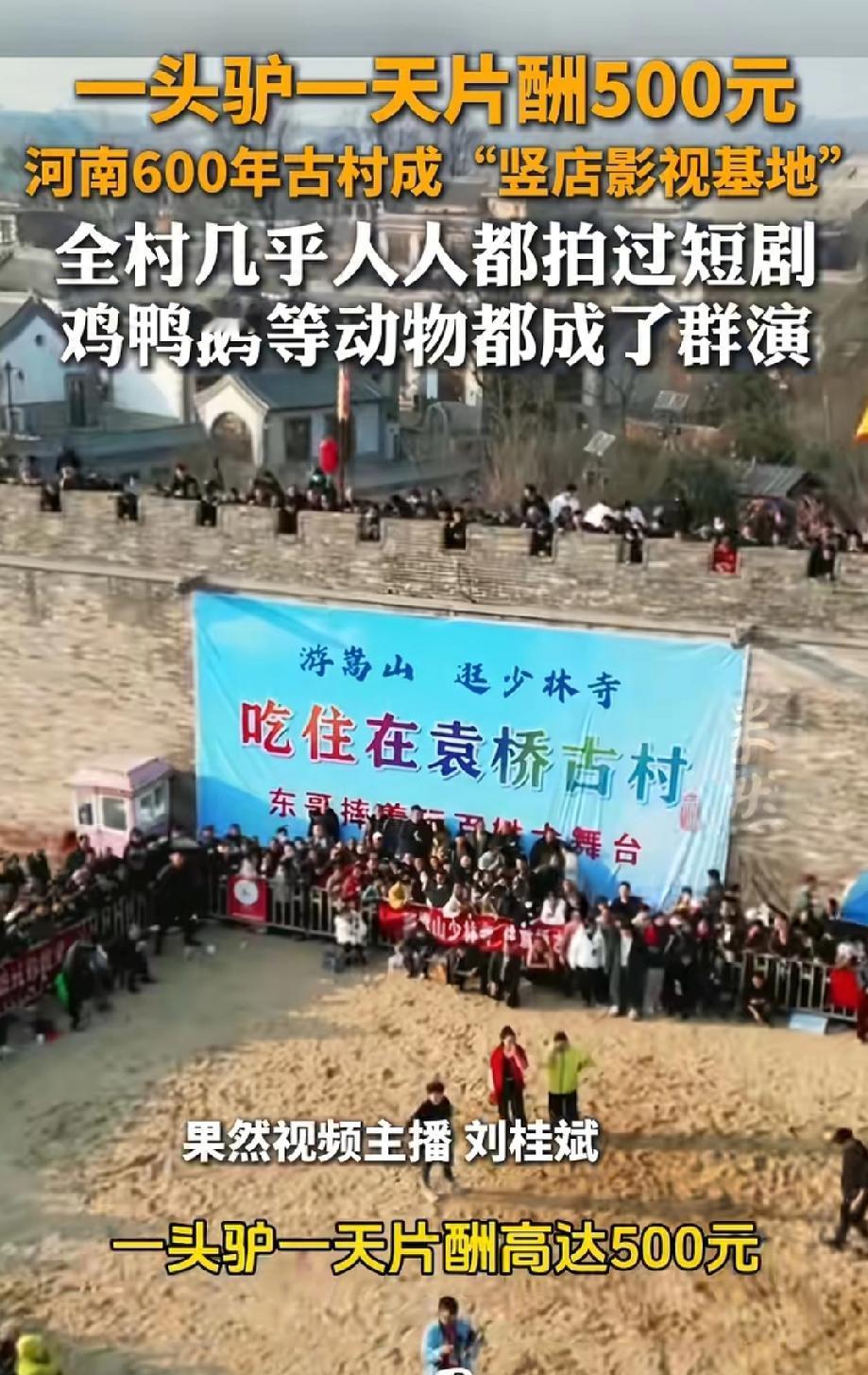 一头驴一天的片酬500！原来我是牛马，还不如一头驴！河南有个600年的袁桥古