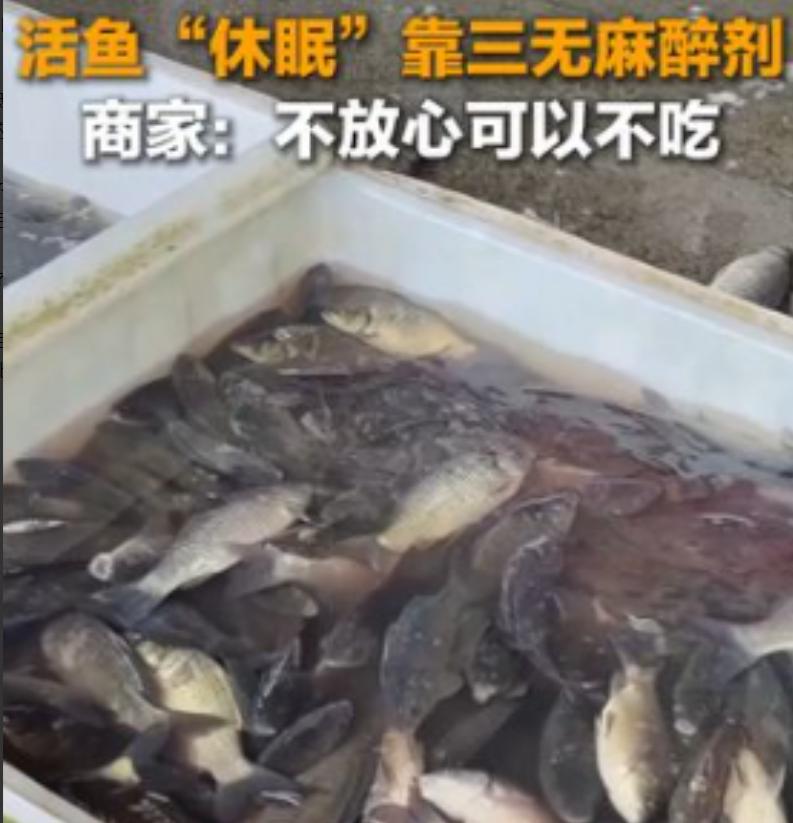 太恶心了，央媒曝光活鱼内幕！3月23日央媒报道，中国多地水产市场为方便运输，违