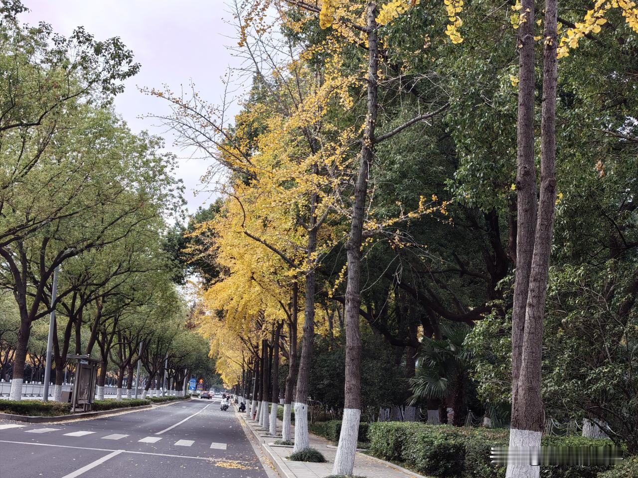 三年前的今天，我心急火燎往乡下赶，因为接到老妈电话，说老爸情况不太好！但还在