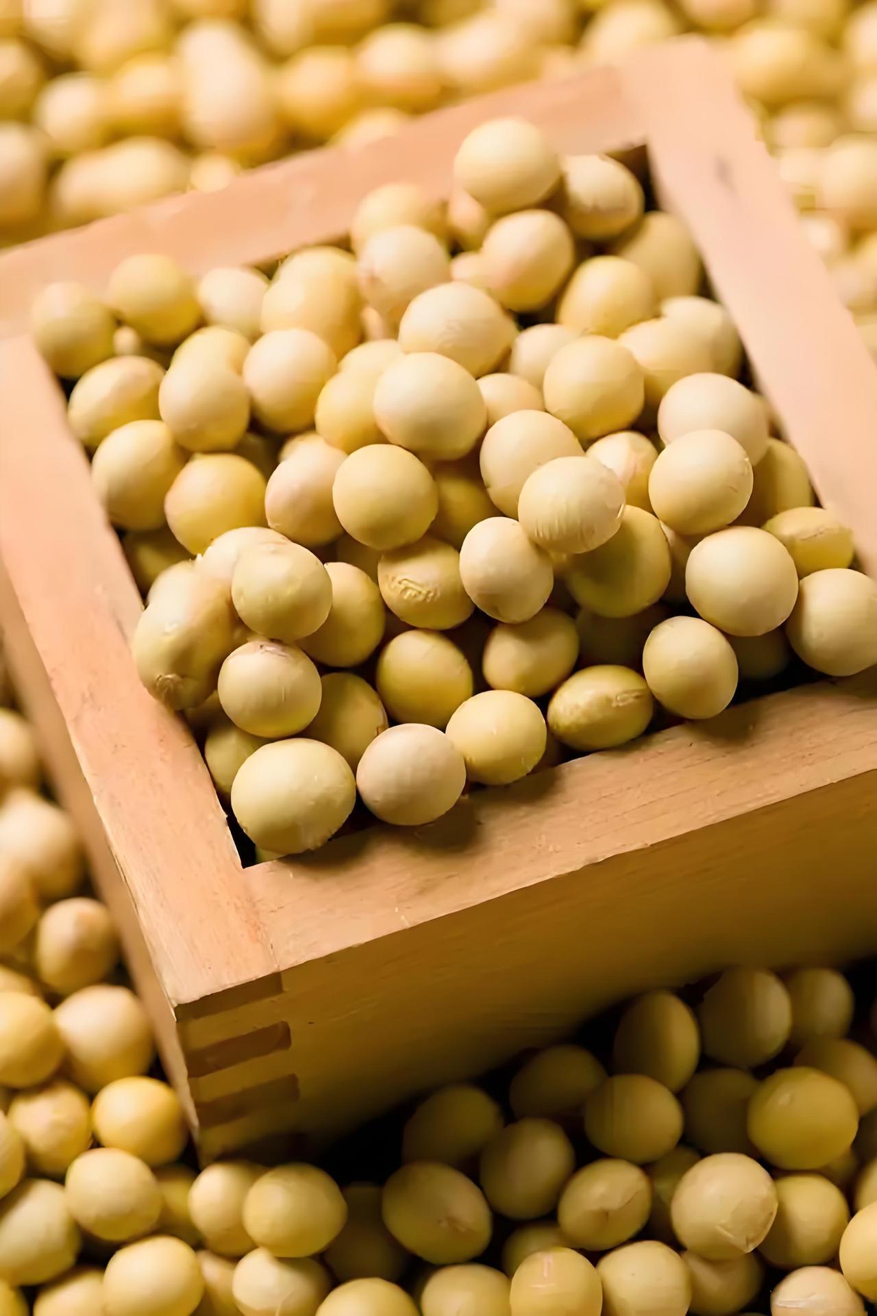 巴西大豆价格暴涨近80%,让中国企业措手不及,这次中美磋商,美国要求中国买他们的