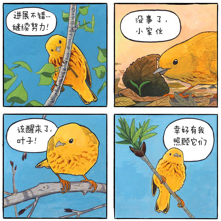 你可能会惊讶地发现，鸟儿并不会飞向南方过冬。它们静止不动，而地球则在它们脚下移动