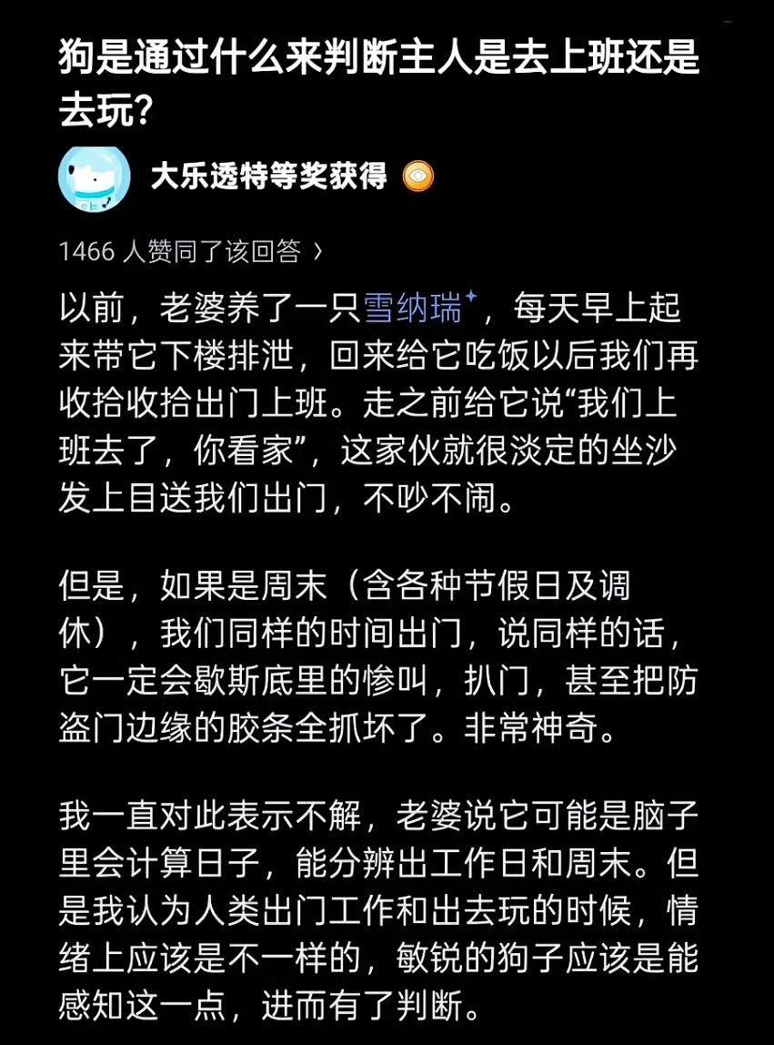 你确定狗知道什么叫上班？