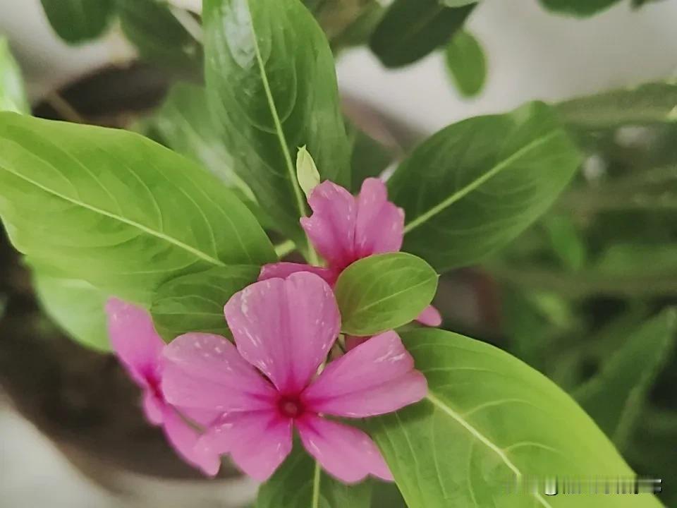 俺村里有个女人瘫了九年了，脑主干血管破裂，花了几十万抢救的结果，不会说不会笑，不