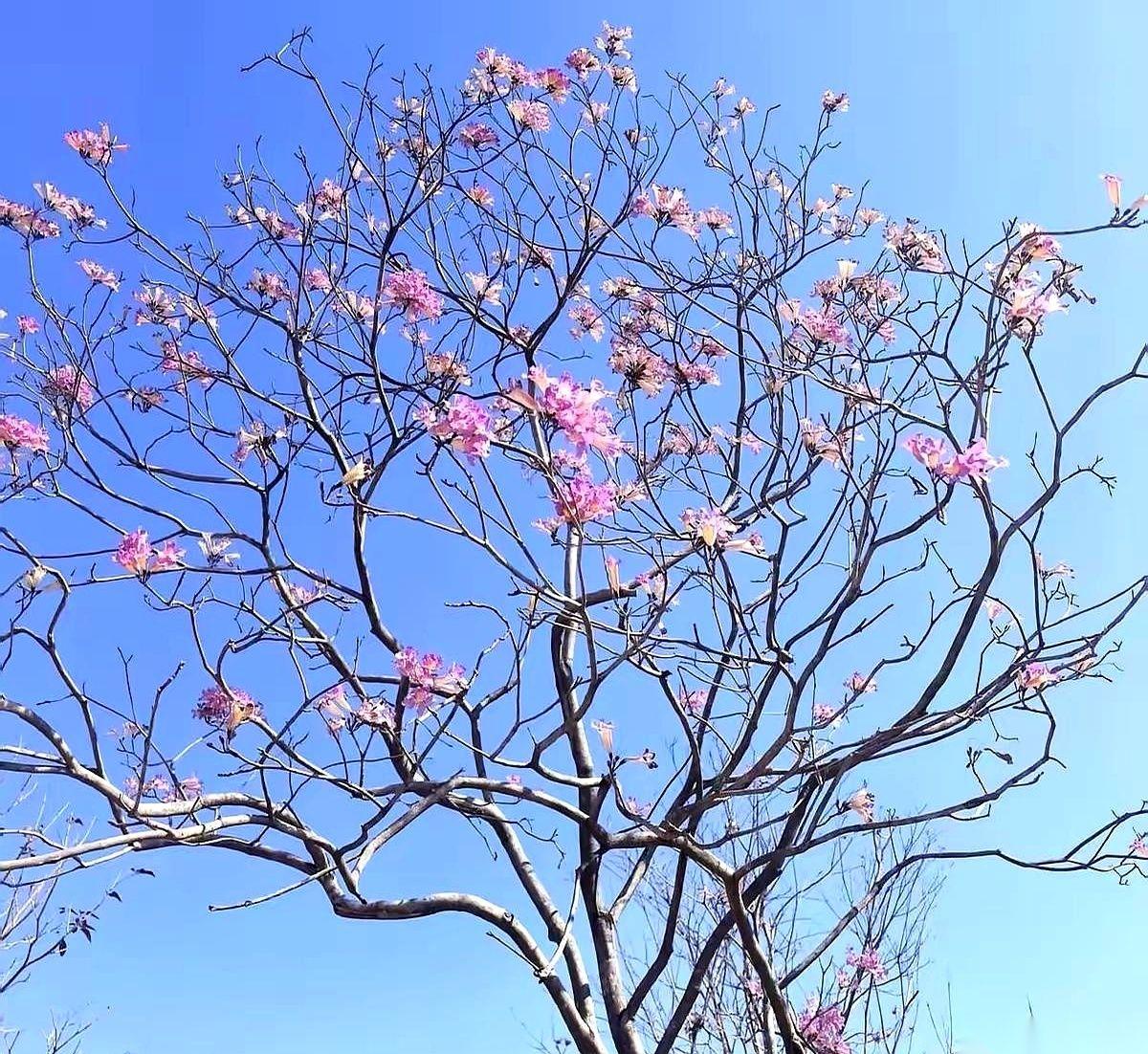 最近网上刷到一个给2026年的“生存指南”，看完后背有点发凉。因为里面写的每一