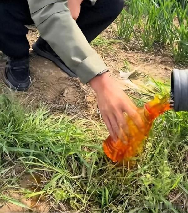 很遗憾，涉事的河北蠡县正是我的老家。蠡吾镇黄庄、北高晃一带靠近县城，经济也比较