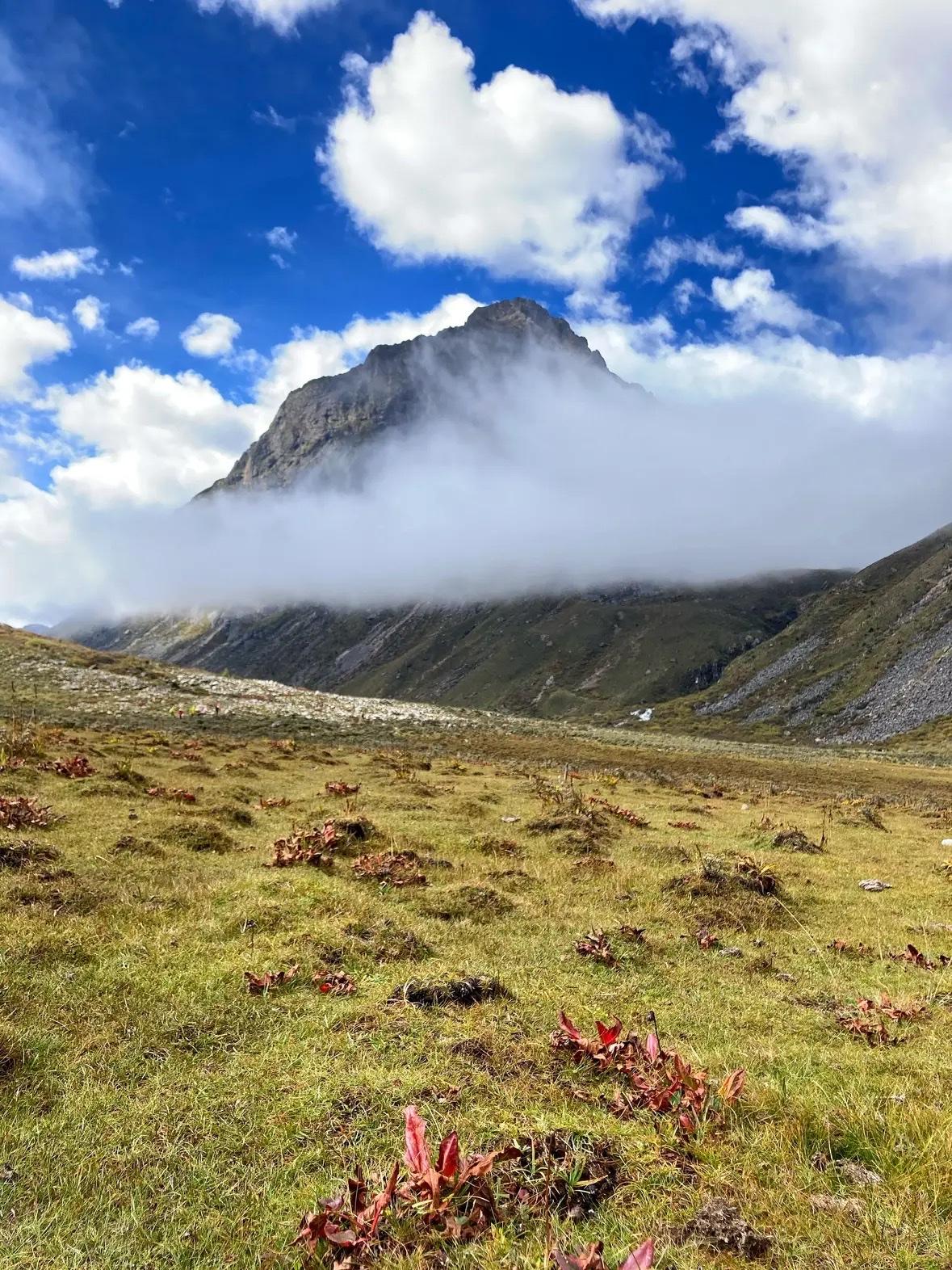 一条“23岁硕士川西徒步因高反去世”的新闻，把“高原反应”四个字硬生生推上热搜。