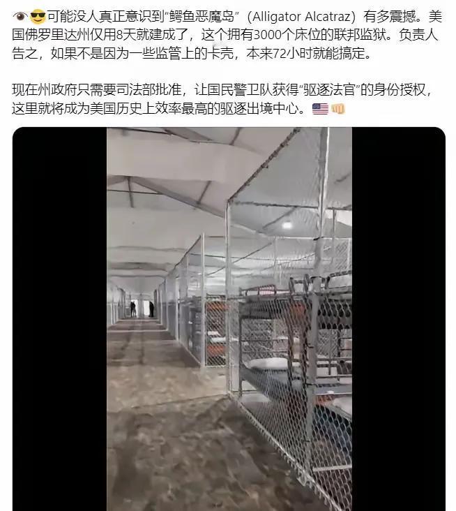 震撼到了！原来美国也有“美国速度”！前两天特朗普去视察的佛罗里达州新建的“鳄鱼
