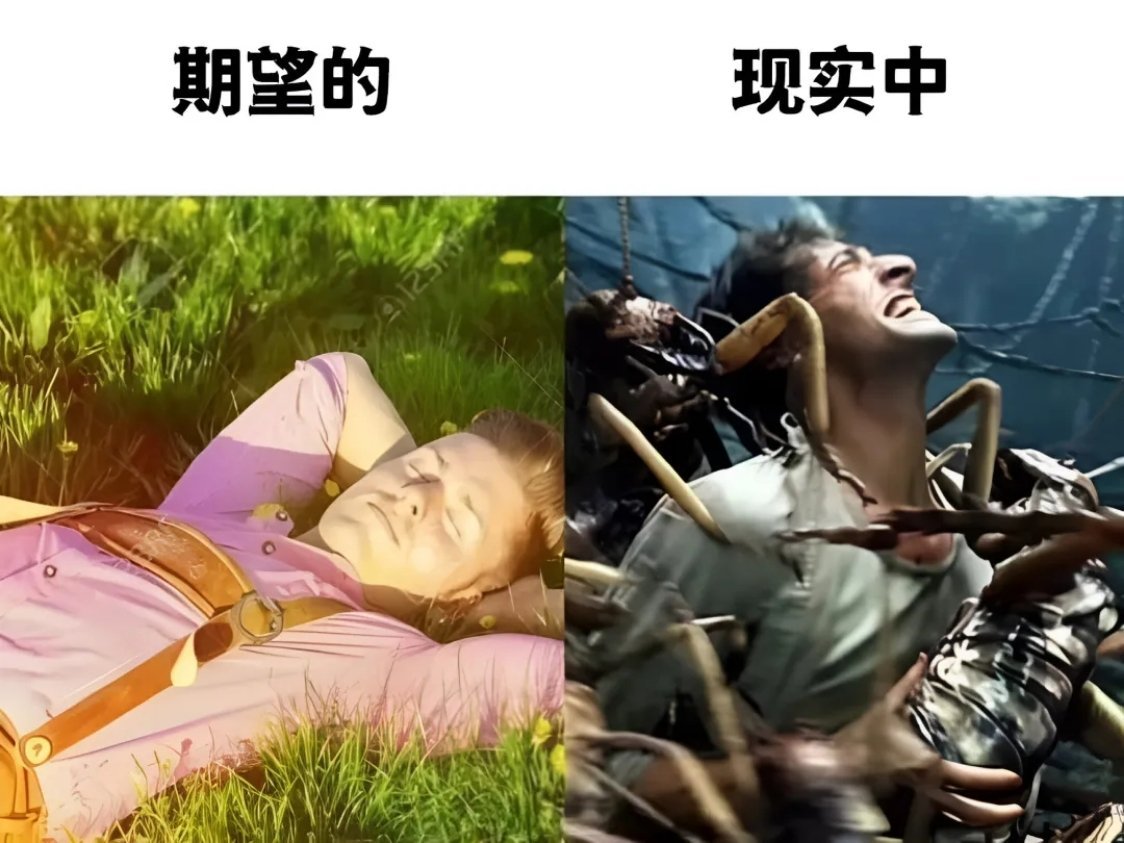 当我躺在草地上时：​​​