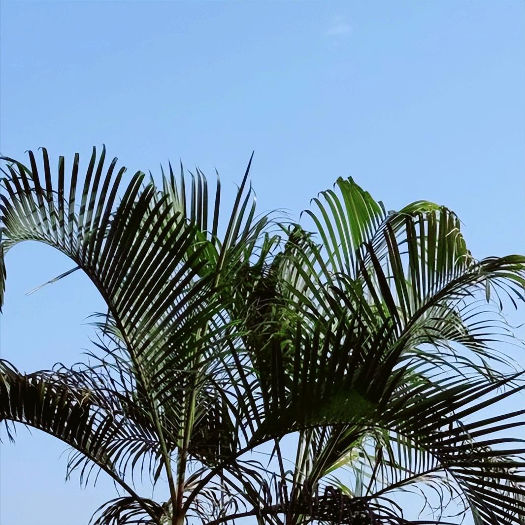 退休4年多、濮阳市人大原官员马宜品的新闻  公开披露 12月22日下午4: