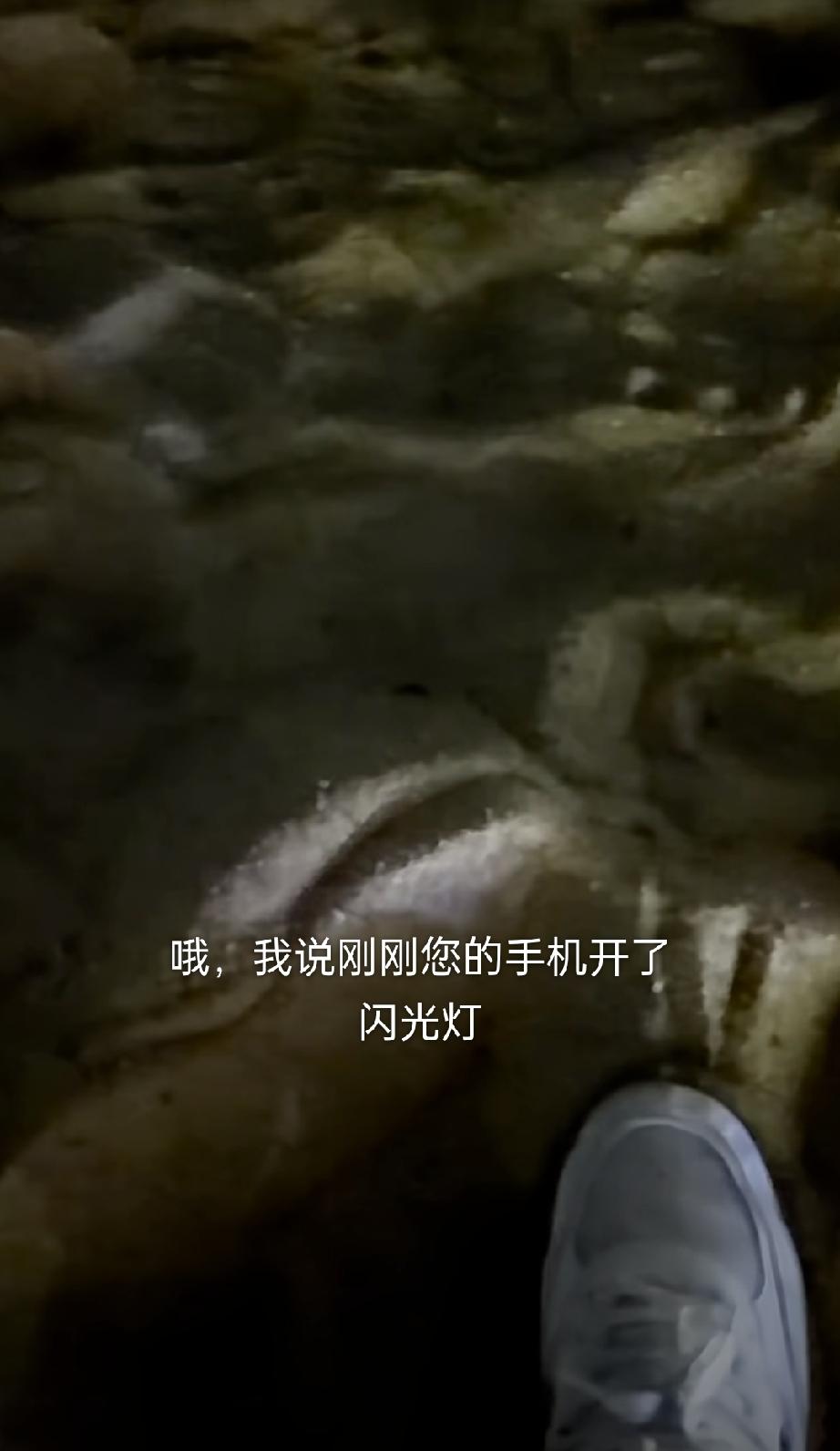 大晚上在海滩，男子离两位女子六七米远，就因为手机开了闪光灯，被女子怀疑偷拍，要求