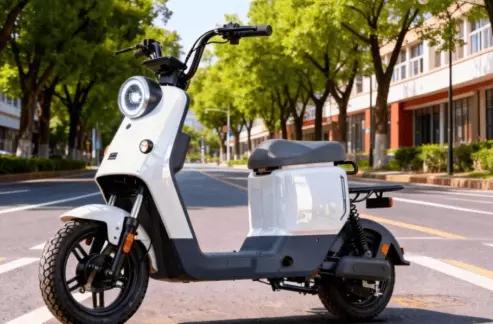 2026年，有五类电动车能享受不罚不扣的待遇，这可太让人期待了。第一类是符合新