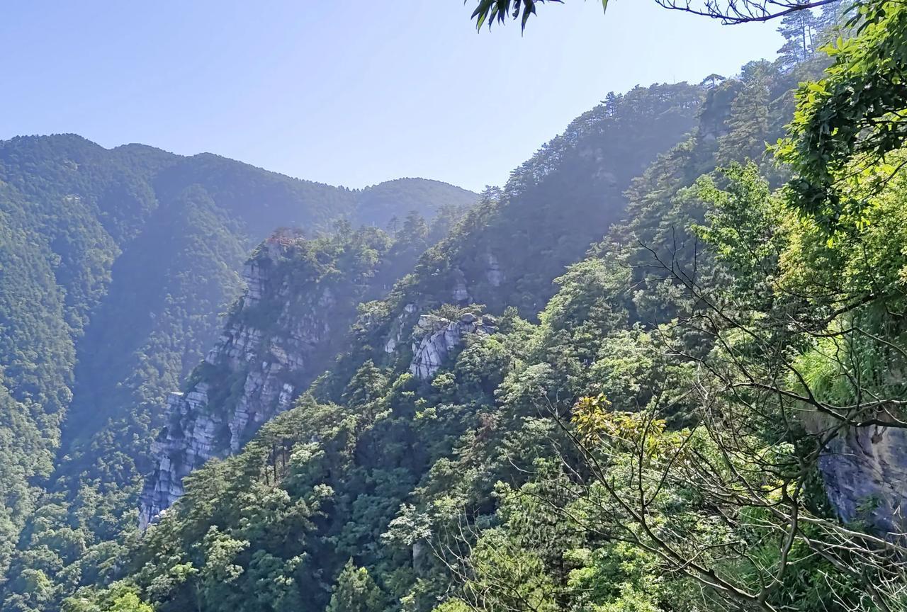 你若不贪，无人能诱你；你若不恨，无人能伤你；你若不痴迷，无人能欺骗你；