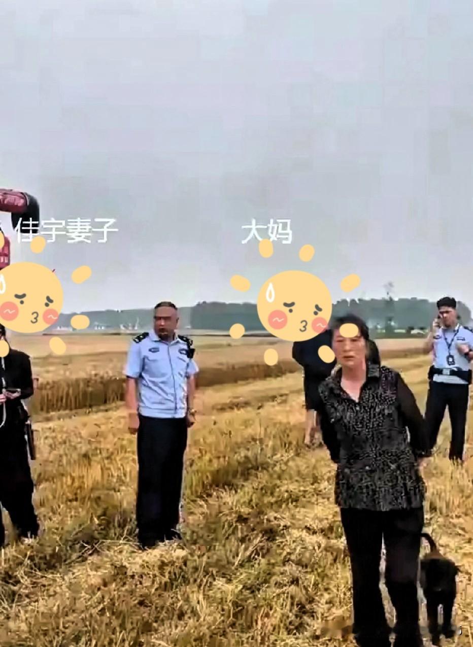 同为湖北人，我来说句公道话，这户人家的子女可得好好管管长辈了！农机师傅好心，优