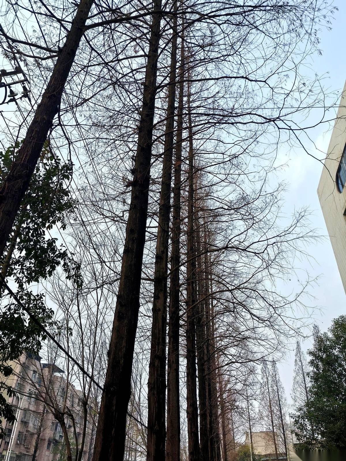 我跟你讲，有时候你看不顺眼一个人，真的不需要理由。就是气场不对，八字不合，第一