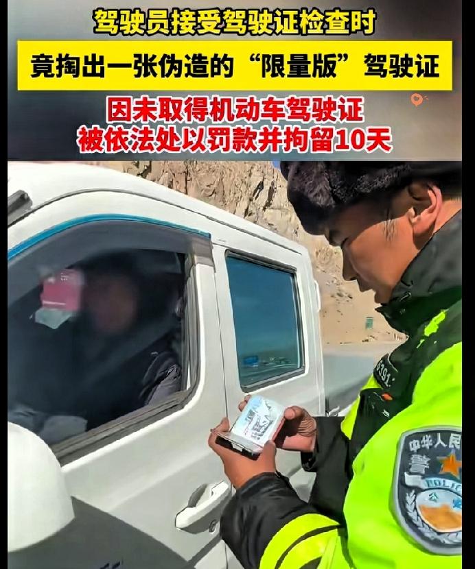 这操作真是把“胆大包天”玩出了新高度！西藏司机递假驾照给交警，证件内容直接让