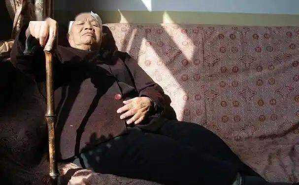 饭后躺下的习惯，许多人都曾有过，尤其是在忙碌的日常中，吃完饭后想要稍作休息，躺在
