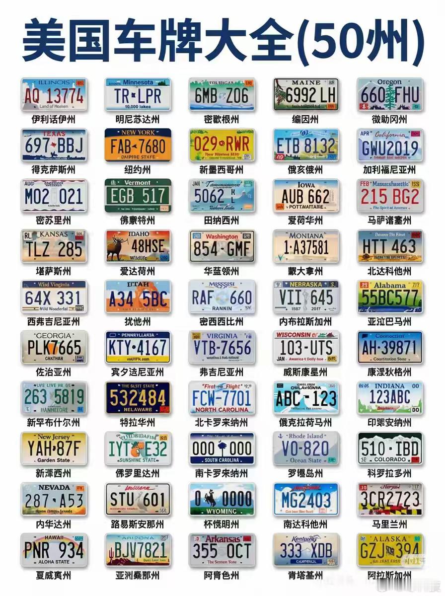 为什么美国每个州都可以有自己的独立的车牌，说真的这也太有个性了吧