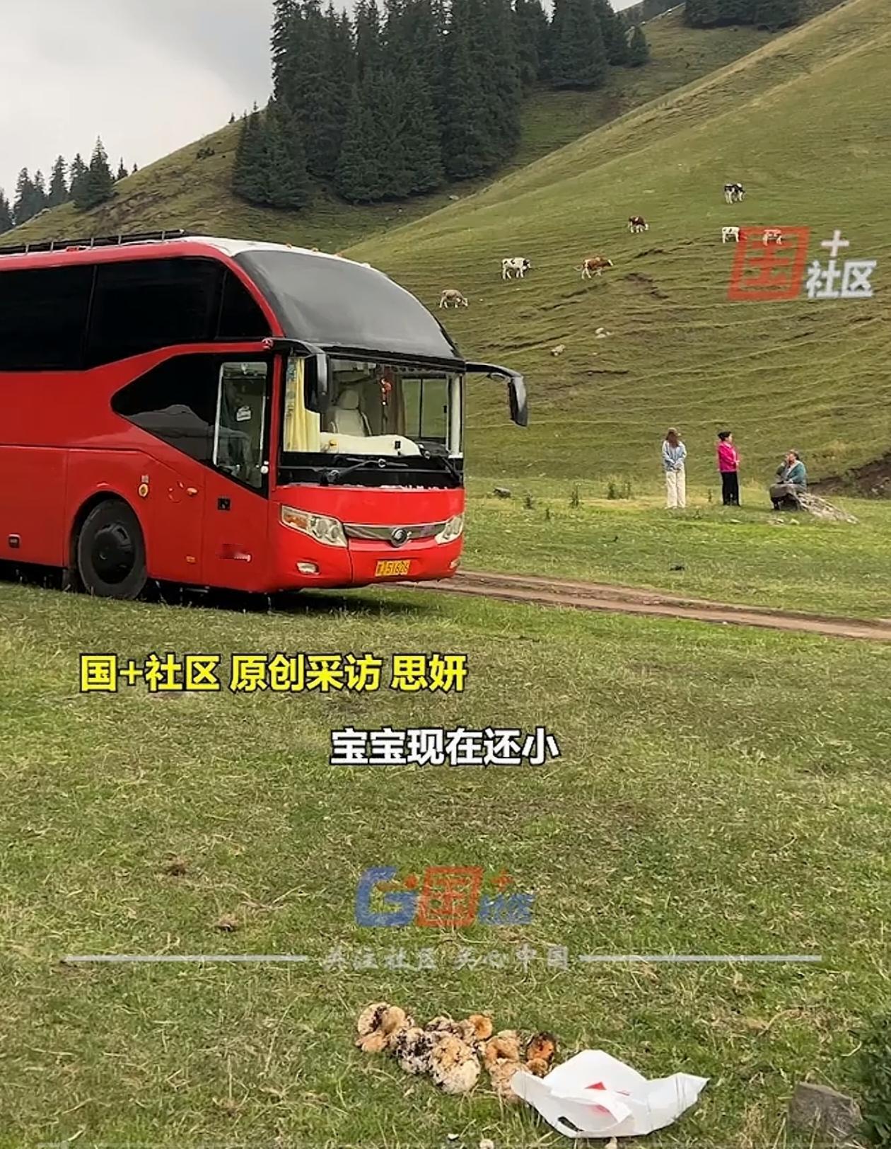 一33岁女子因买不起房，花20多万买了辆二手大巴车，改造成房车后，一家四口全年生