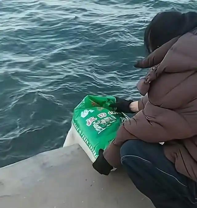 “活久见！”辽宁葫芦岛，一女子去海边游玩，突然看到好几个人在往海里倒东西，本以为