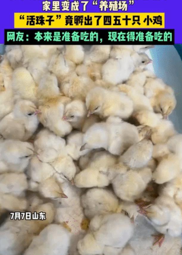 这下彻底解释不清了！山东青岛。上周二，姜女士的朋友从城阳送来五盒农村新鲜