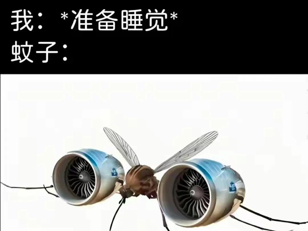 没错，晚上是这样子的[哭哭]