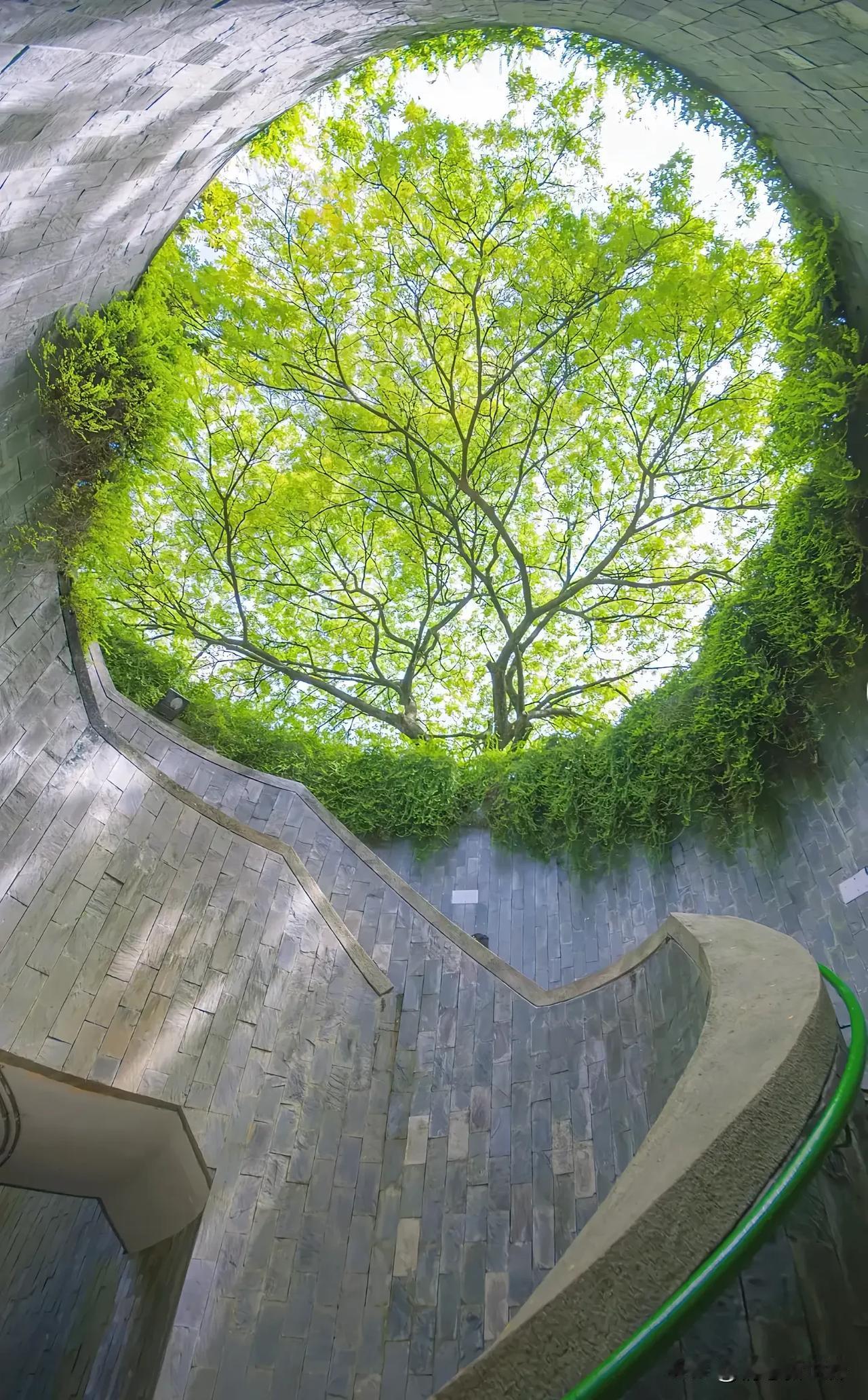 分享一张随手拍下来的最美的风景