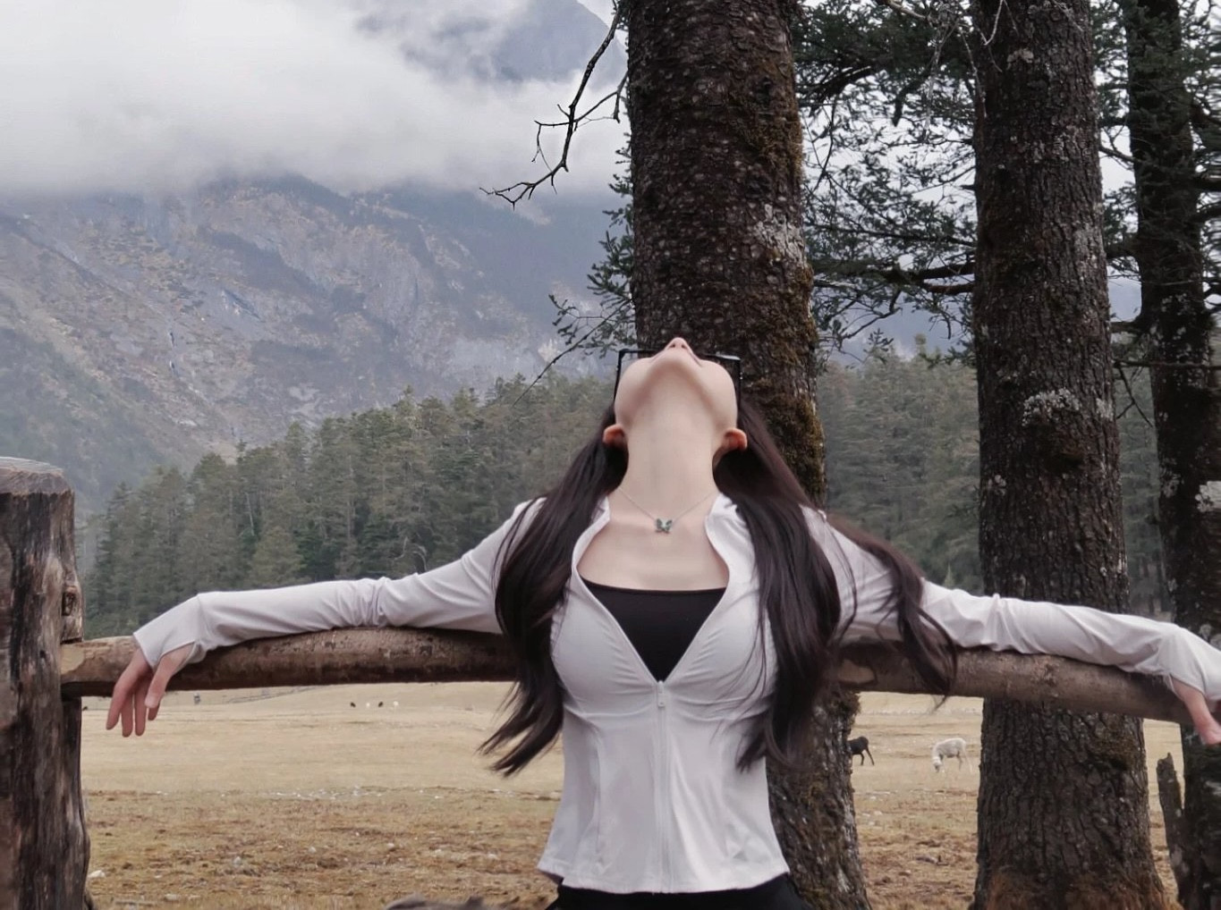 马斯克惊呼‘Kimi作品令人印象深刻’！中国AI团队突破性研究或成新标配