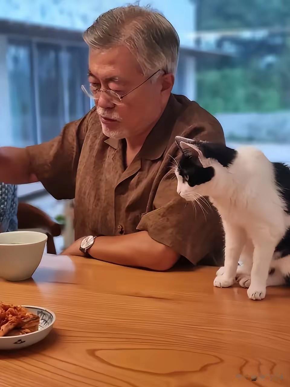 到目前为止，韩国最让我佩服的总统文在寅，从青瓦台出来能平安落地的，目前为止也就他