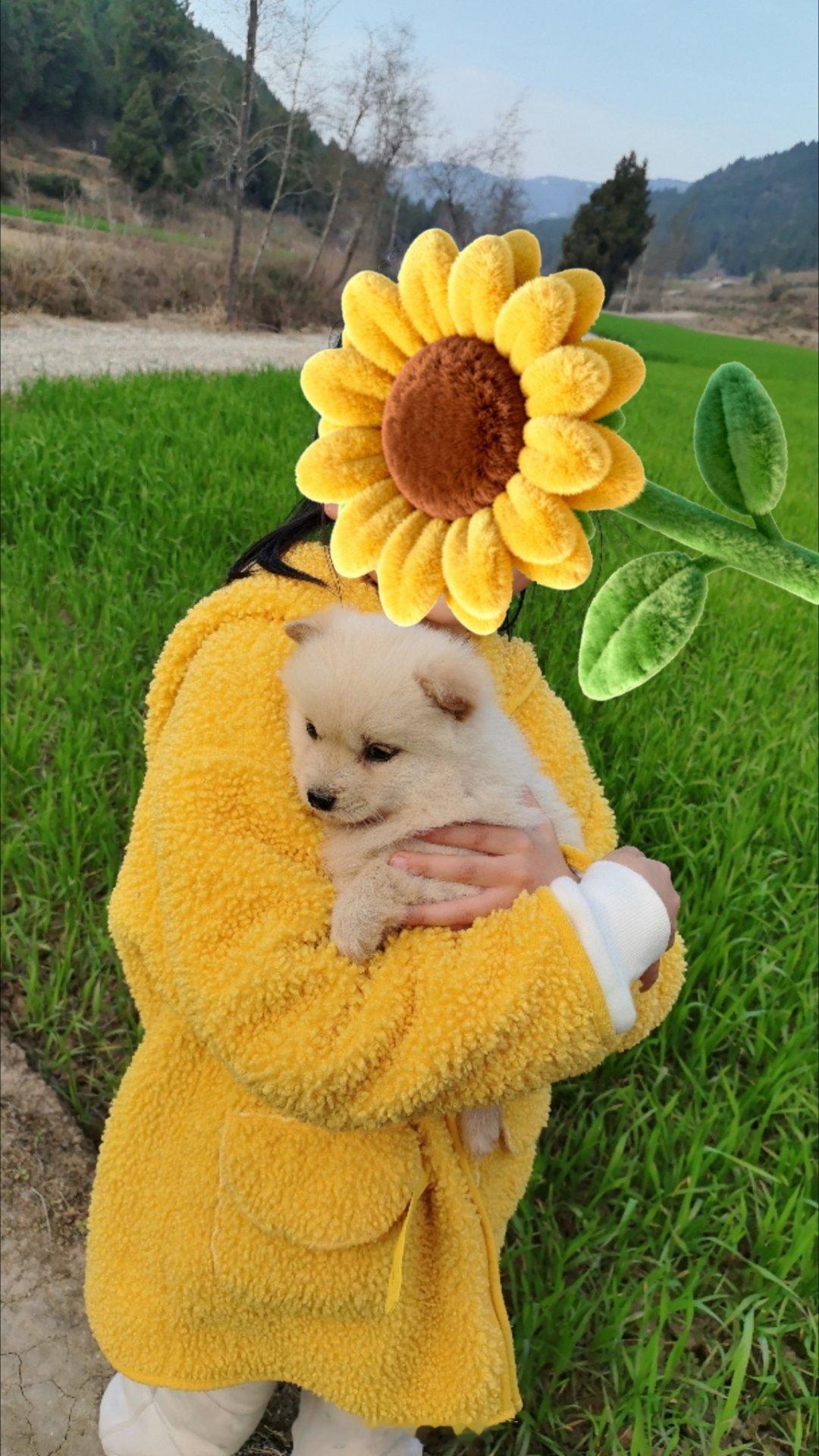 给我家妹妹捡来的小土狗取个名字吧，是个妹妹。。