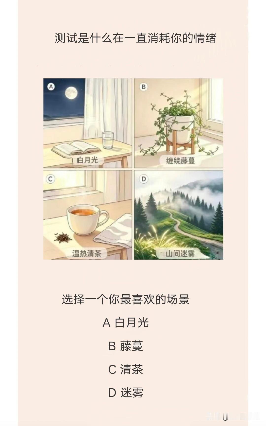 选择一个你最喜欢的场景