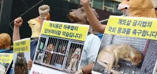 韩国人的灵魂食物不是泡菜吗?韩国餐饮，从客观说，没有灵魂食物，当年到现在变成“发