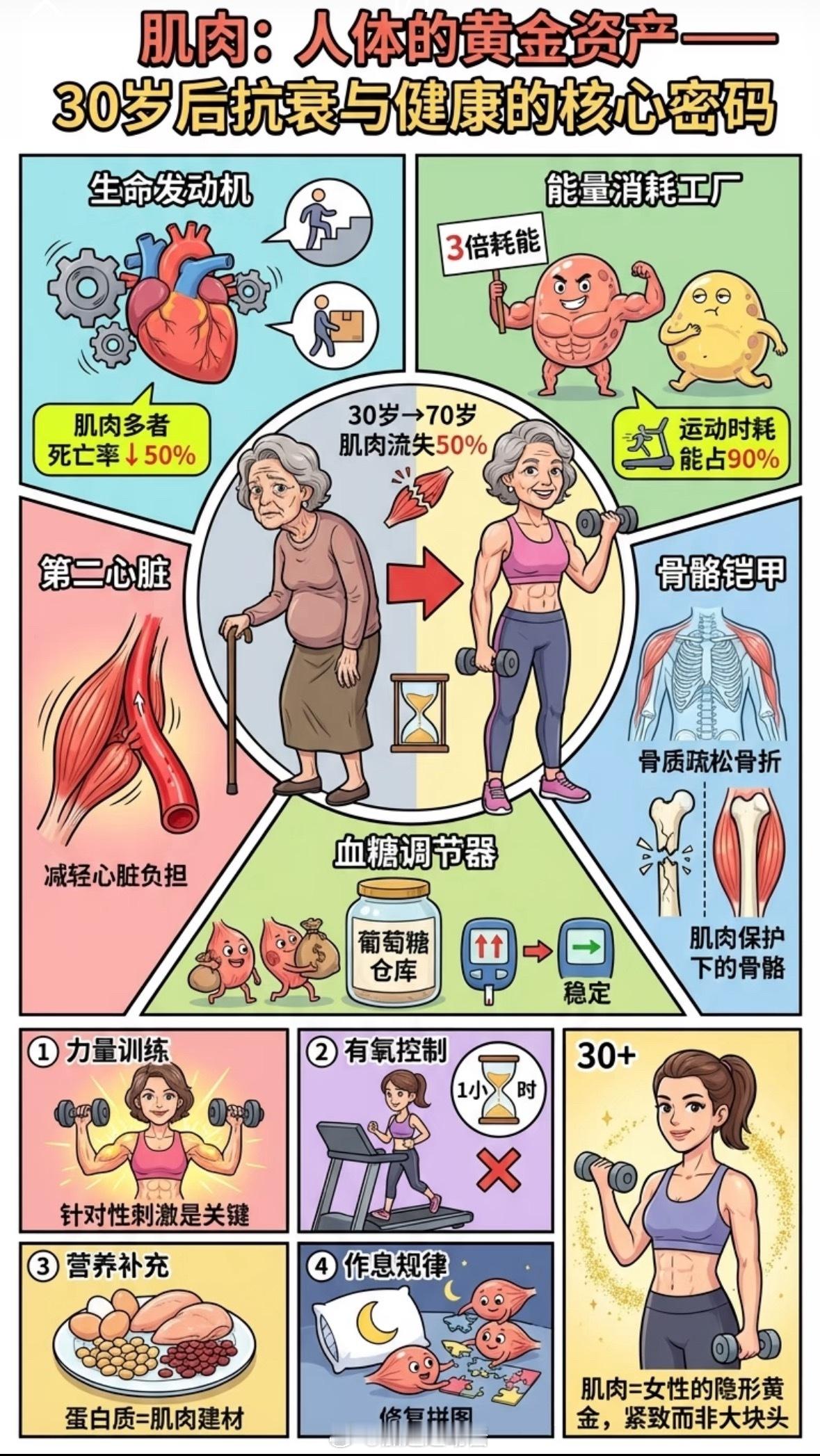 肌肉的重要性远超一般认知，它不仅是力量的象征，更是决定生命质量和寿命长度的关键因