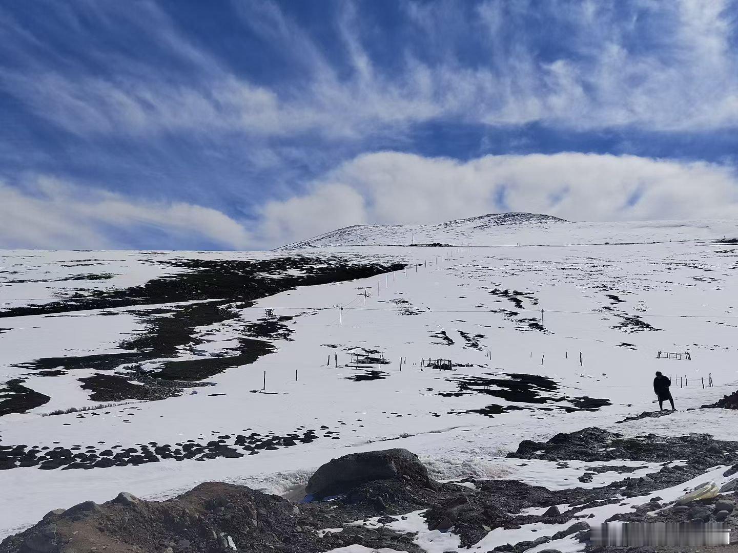 山美水美家乡美驱车穿行阿禾公路，一路邂逅巍峨雪山。漫山野花开得肆意，清风裹挟着