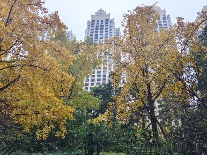 我是2020年，在成都天府新区南湖国际社区一期买的房，当时成交单价2.4万，如今