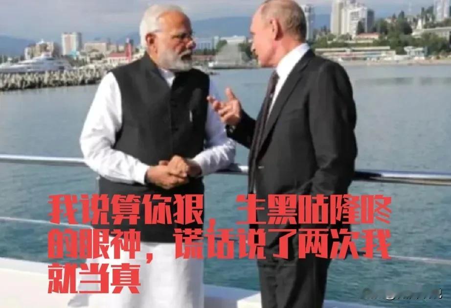 普京搬起石头砸自己的脚，把印度引入金砖，是他政治生涯的最大败笔。作为一名老政治家