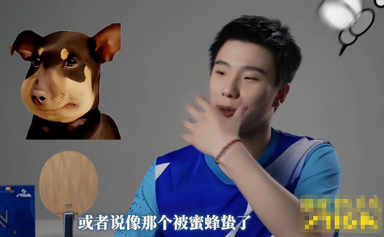 【蜜蜂狗徐瑛彬，得名只因一张脸】木原美悠无缘伦敦世锦赛的日乒名单，内战王徐瑛彬从