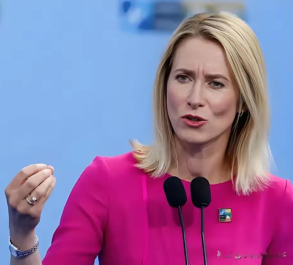 欧盟外长卡拉斯承认越来越困难！12月15日，欧盟外交与安全政策高级代表卡拉斯