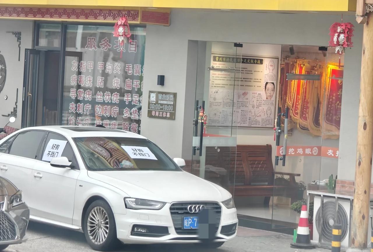 好狗不挡门，不知道奥迪车主看到后，[捂脸哭]是怎样的表情？