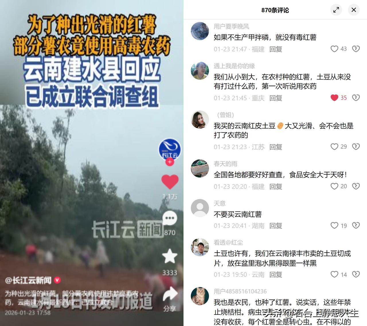 云南有些薯农为让红薯表皮光溜溜的，偷偷用了早被禁的高毒农药甲拌磷。这事闹