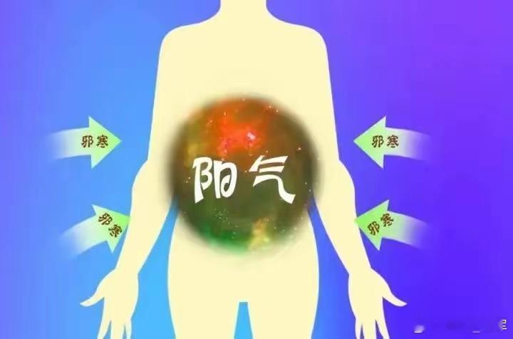 寒凉下肚，阳气被困住！气血走不动，所以你就会累。说来实在令人唏嘘！如今真正需要大