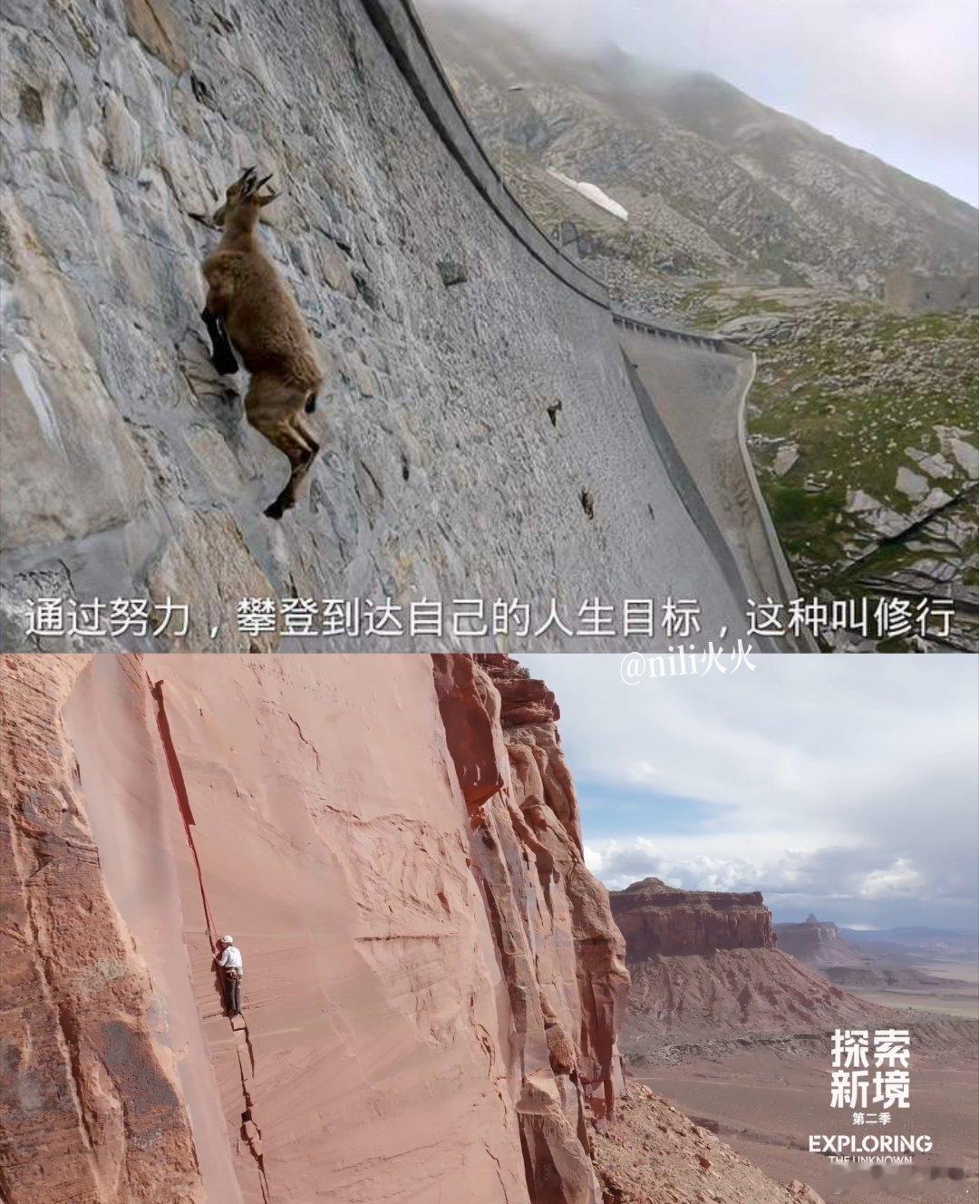 王岩羊！就说这权威不？！wyb