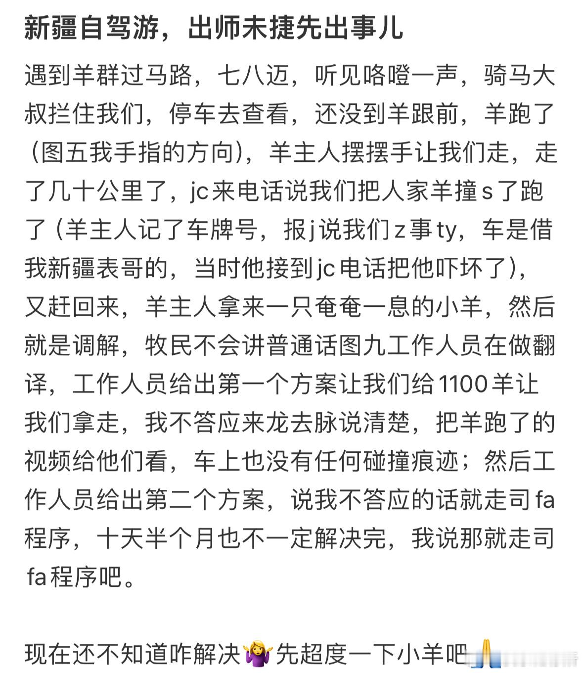 新疆自驾游，把别人家的羊撞死了怎么办❓​​​
