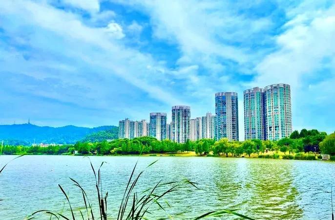 七律：长沙西湖纪游西湖何止是杭州，正值阳春结伴游。不见断桥灵隐寺，但观柳岸望
