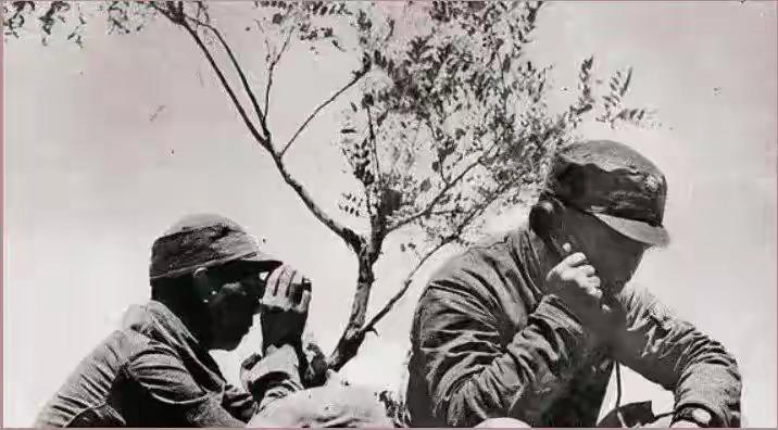 1941年山东雪夜，八路军一个300人整编营离奇消失，旅长下令追杀，28岁的锄奸